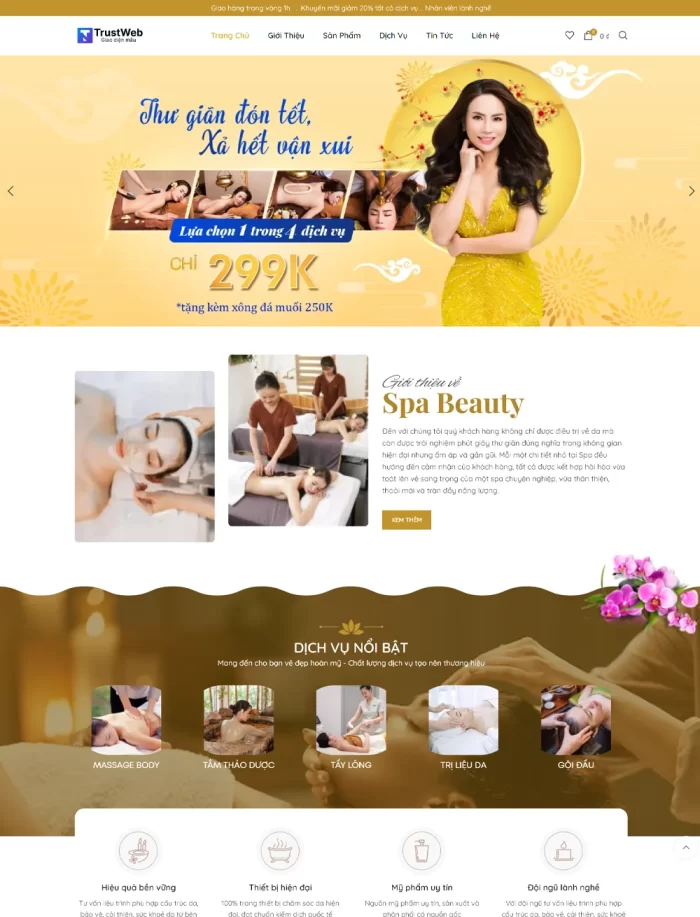 thiet ke web spa 1