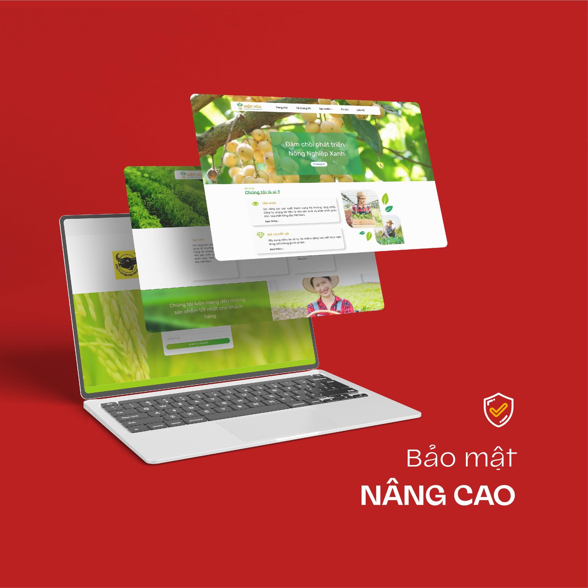 Quy trình 16 thietkewebgiare1.jpg